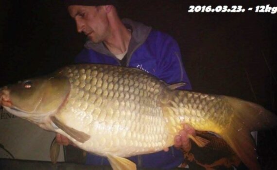 20160323-12kg-